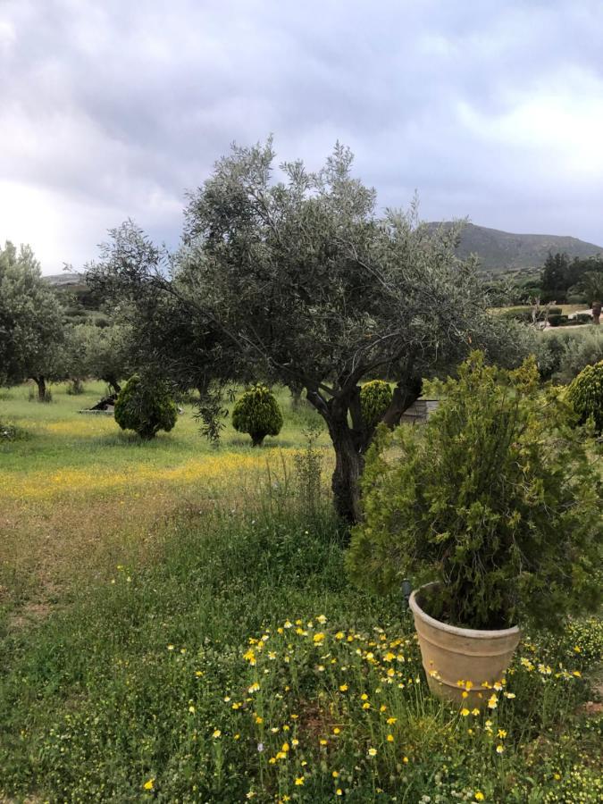 Olive Grove Pensionat Anavyssos Exteriör bild